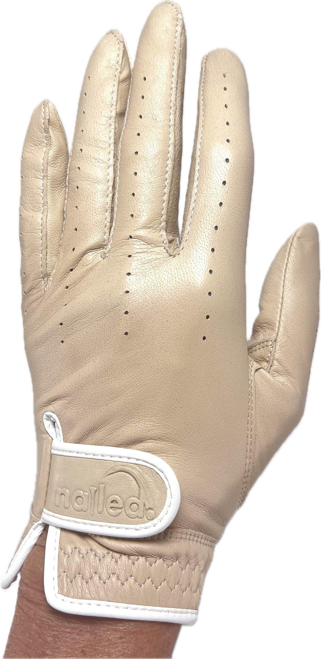 Premium Leather Colored Standard Golf Gloves